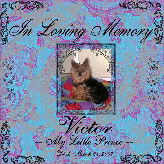 Victor Tribute Page